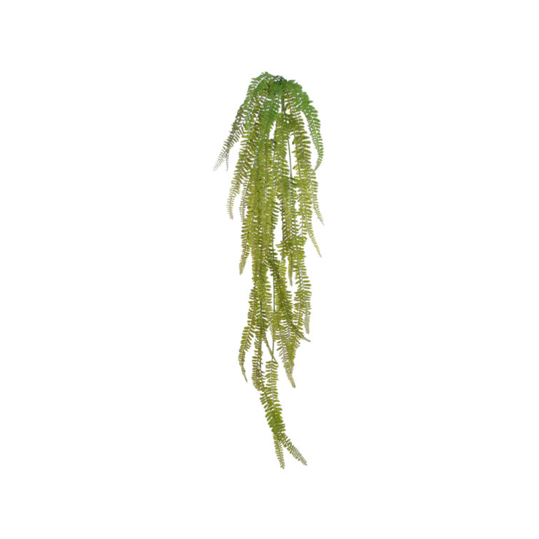 Primrue 50'' Faux Fern Plant Wayfair Canada